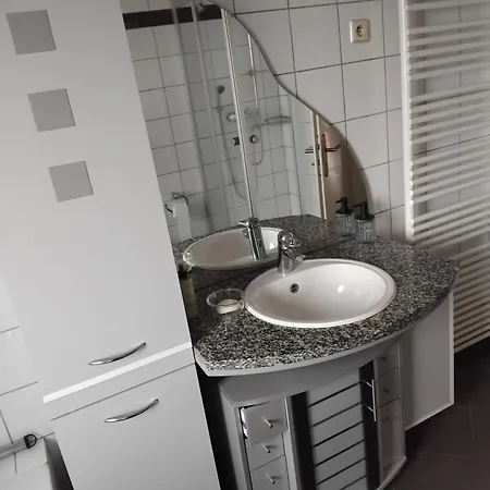 Artemis 비상부르