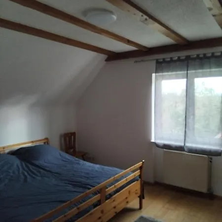 Artemis 비상부르